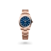 Rolex Oyster Perpetual 34 in Everose gold with a Blue stone dial, domed  bezel, and Oyster bracelet - AH Riise