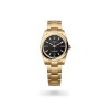 Rolex Oyster Perpetual 34 in yellow gold with a Black dial, domed  bezel, and Oyster bracelet - AH Riise