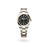 Rolex Explorer 36 in Oystersteel and yellow gold with Black dial, smooth bezel, and Oyster bracelet - AH Riise