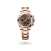 Rolex Cosmograph Daytona in Everose gold with Bright chocolate and black dial - AH Riise