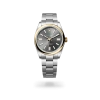 Rolex Oyster Perpetual 41  in Oystersteel and yellow gold with a Slate dial, domed  bezel, and Oyster bracelet - AH Riise