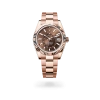 Rolex Sky-Dweller in Everose gold with a Chocolate dial, fluted bezel, and Oyster bracelet, m336935-0002 - AH Riise