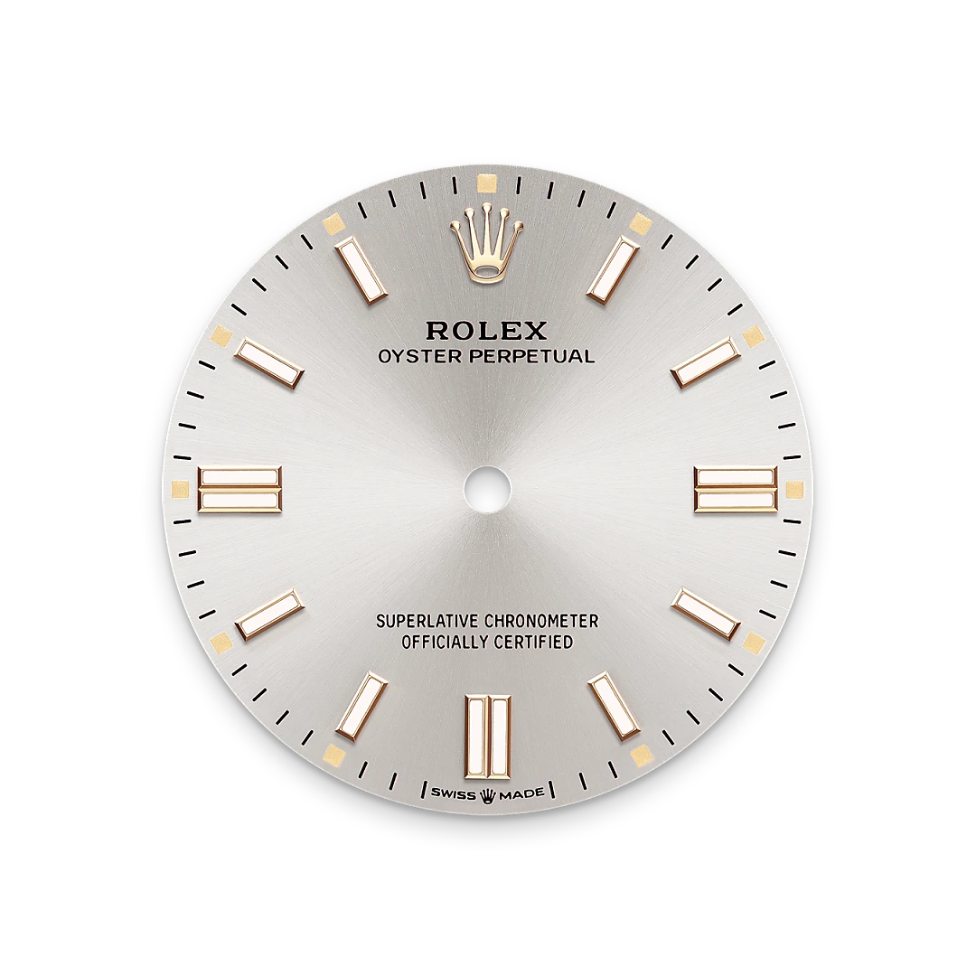 Rolex Oyster Perpetual 36 in Oystersteel with a Silver dial, domed  bezel, and Oyster bracelet, m126000-0001 - AH Riise