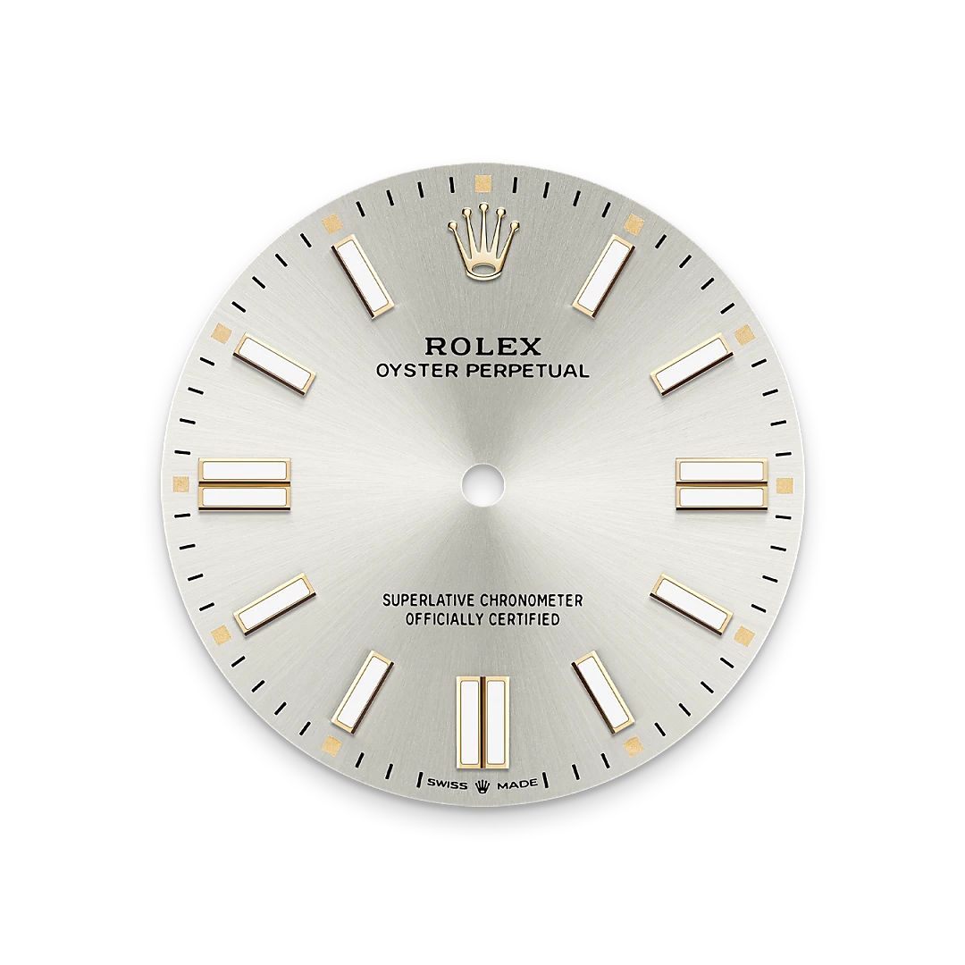 Rolex Oyster Perpetual 41 in Oystersteel with a Silver dial, domed  bezel, and Oyster bracelet, m134300-0001 - AH Riise