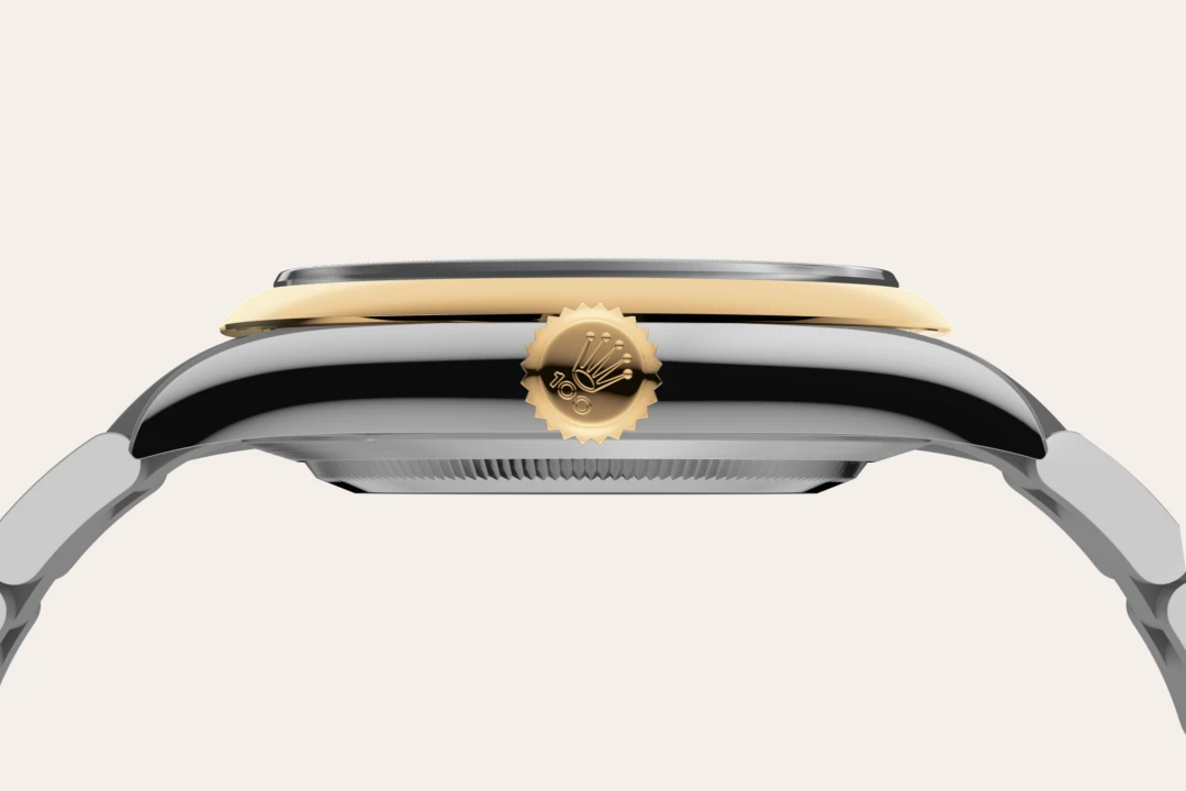 Rolex Oyster Perpetual 41  in Oystersteel and Oystersteel and yellow gold with a Slate dial, domed  bezel, and Oyster bracelet, m134303-0001 - AH Riise