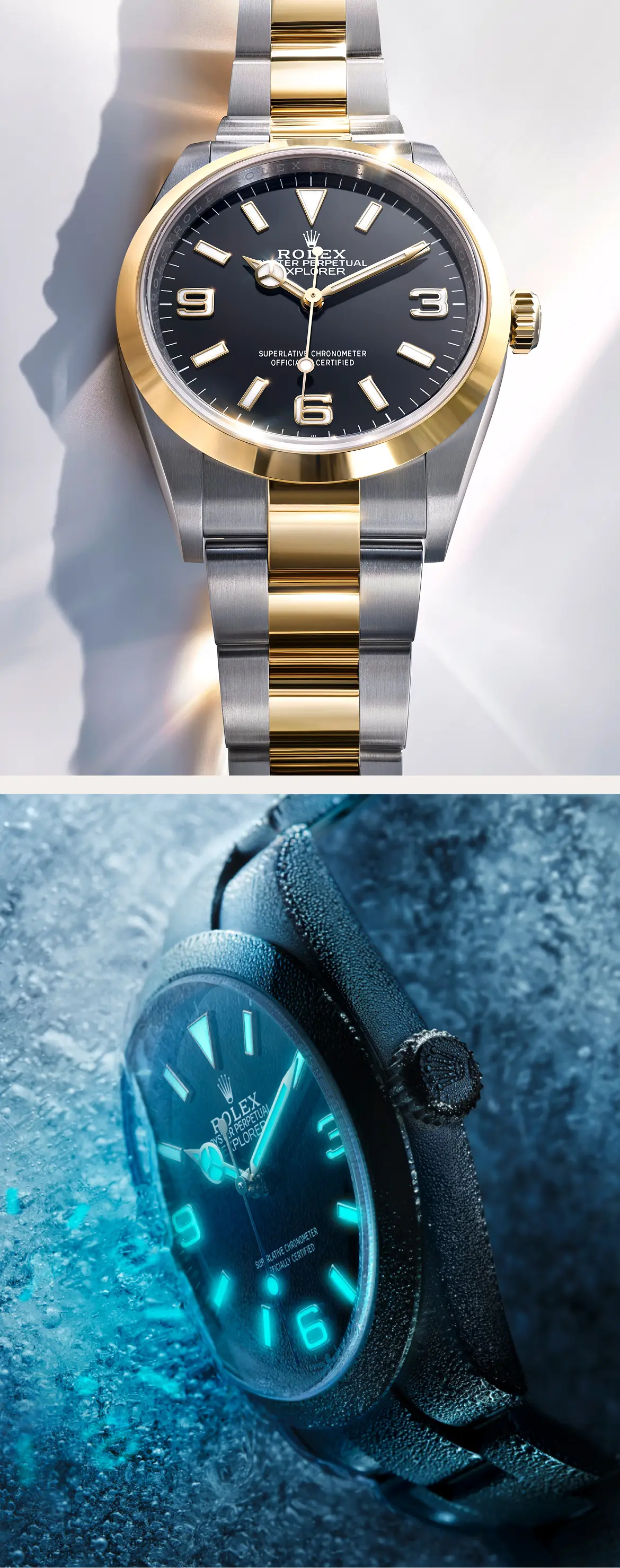 Rolex Explorer watches - AH Riise Rolex Boutique St. Thomas