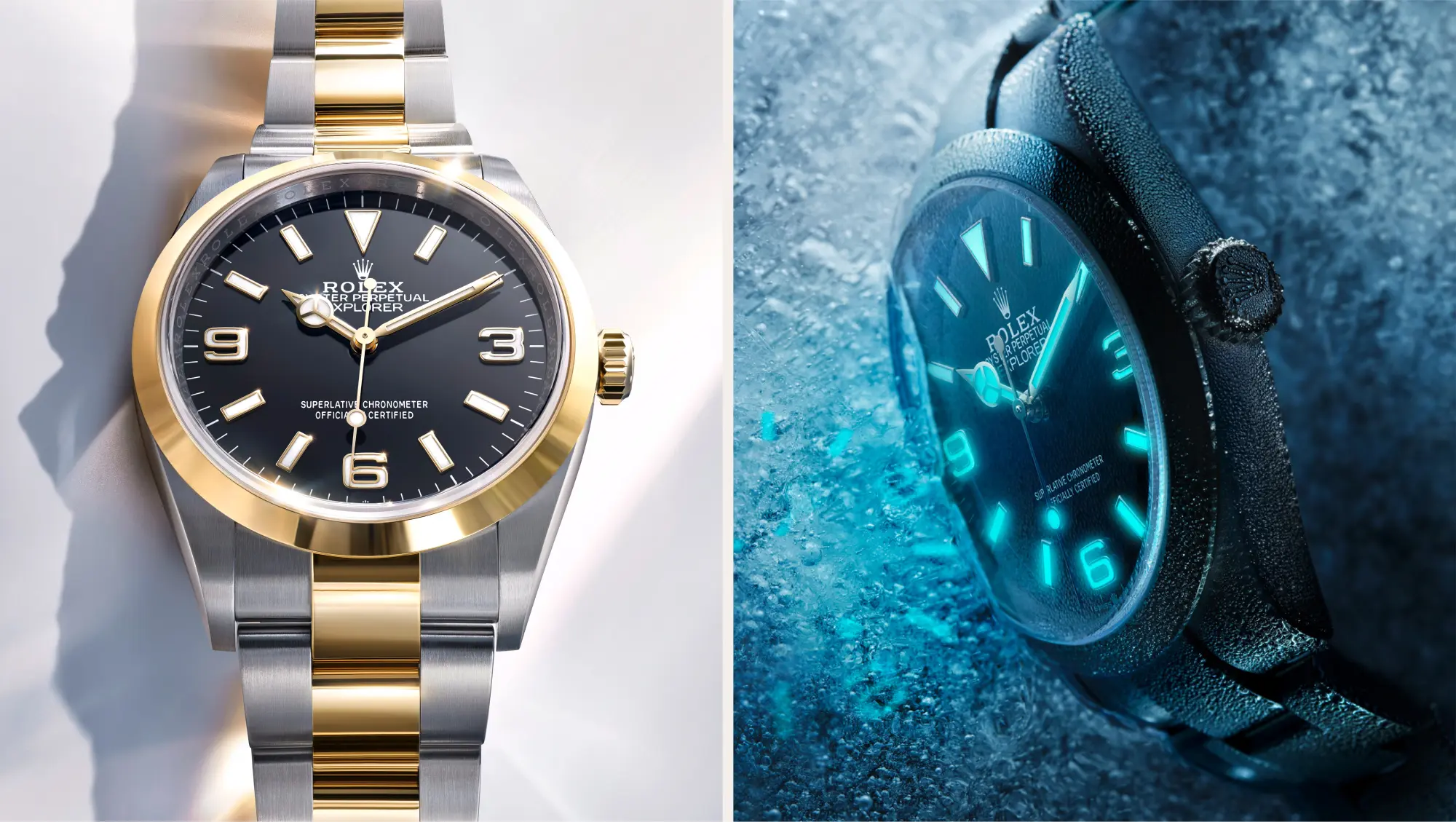 Rolex Explorer watches - AH Riise Rolex Boutique St. Thomas