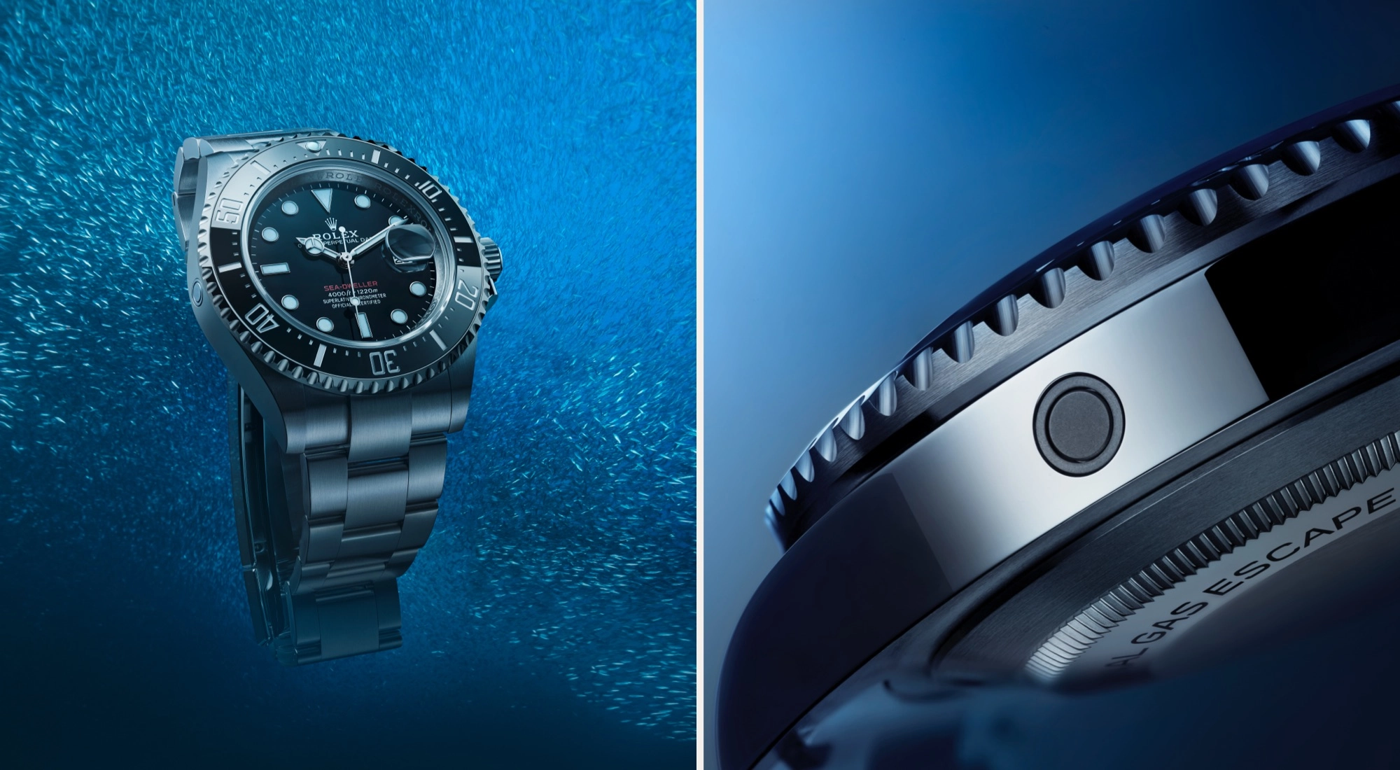 Rolex Sea-Dweller watches  - AH Riise Rolex Boutique St. Thomas