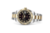 Rolex Datejust 41 at AH Riise