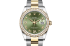 Rolex Datejust 36 at AH Riise