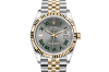 Rolex Datejust 36 at AH Riise