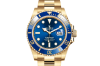 Rolex Submariner at AH Riise